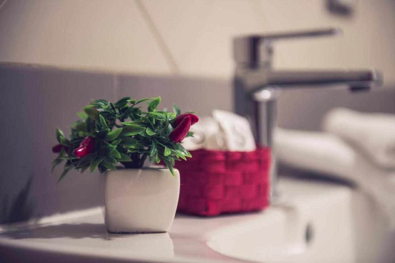 San Francesco A Ripa Apartment Rome